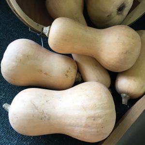 butternut squash