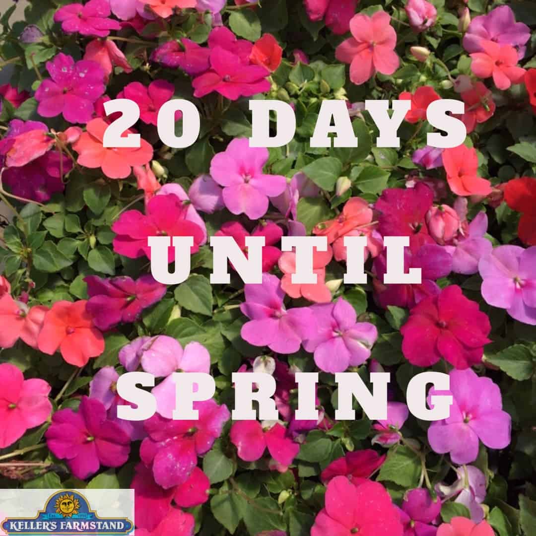 Spring Is Near! - Keller's Farmstand