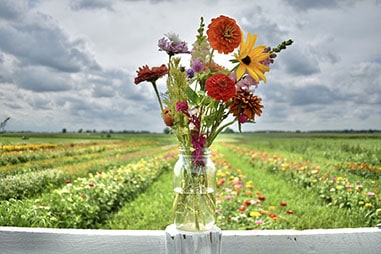 cut flowers in a vase on a fence rail
