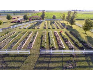 KellersFarmstandCutFlowerFields