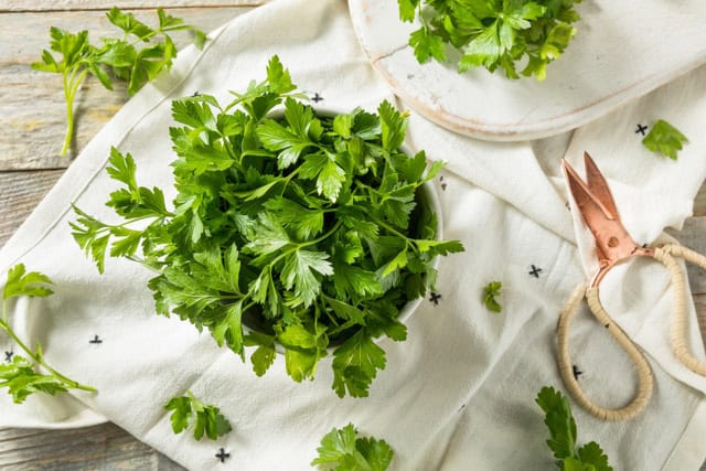 raw-green-organic-italian-flat-leaf-parsley-2025-01-16-16-23-34-utc
