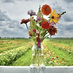 cut flowers in a vase on a fence rail